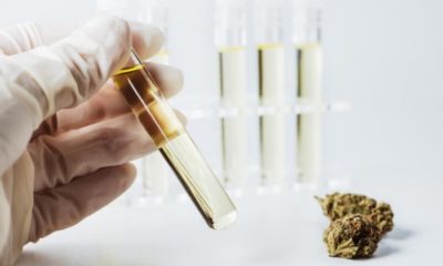 Sequoia Analytical Labs loses license after falsifying results