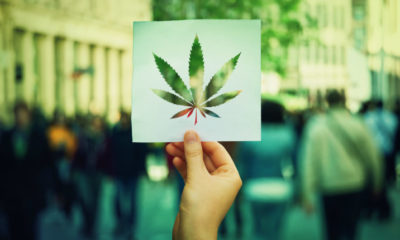 Upcoming Cannabis Trends in 2019