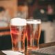 Canadian Brewer to launch CBD Beer in Irish Market