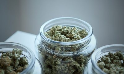 Kamala Harris Jokes About CBD to Make a Serious Point on Cannabis Reform